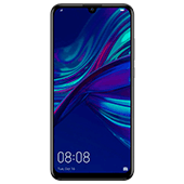 P Smart+ 2019